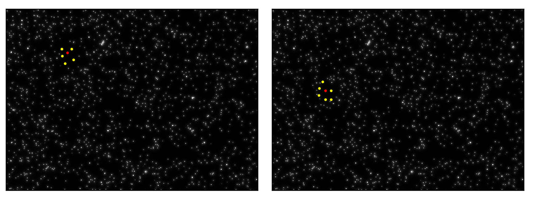 Example of Neighbor ID 2